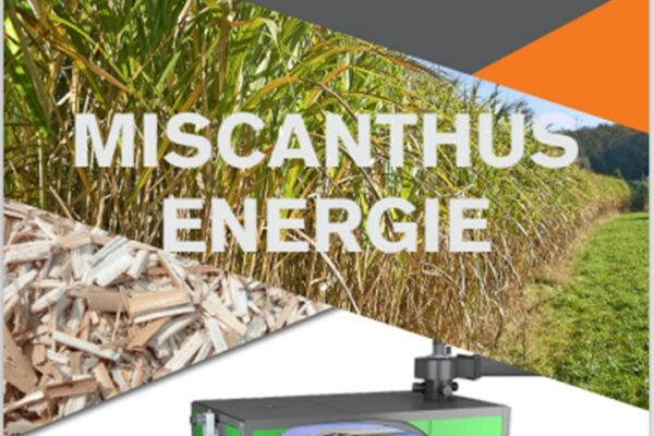 Vers de solutions de chauffage miscanthus