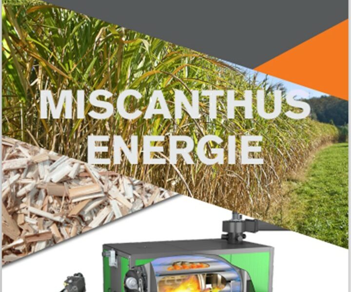 Vers de solutions de chauffage miscanthus