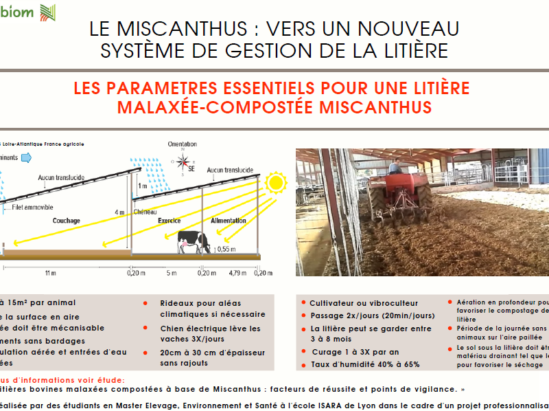 Infographie étude litière miscanthus malaxée-compostée