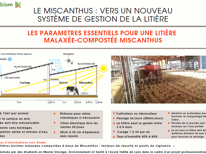 Infographie étude Litière Miscanthus Malaxée-compostée