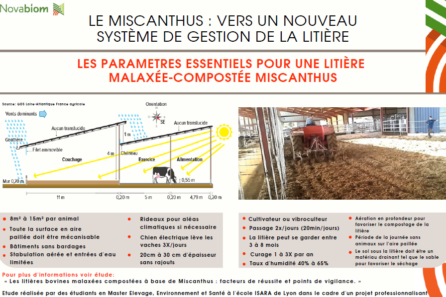 Infographie étude litière miscanthus malaxée-compostée