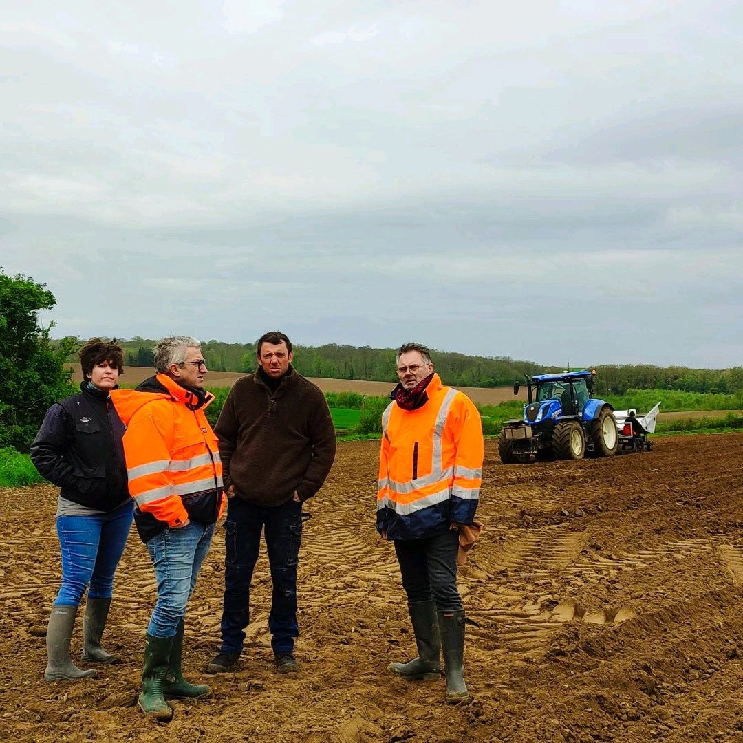 Planting of 3.2 ha of miscanthus on the Wailly Beauchamp BAC