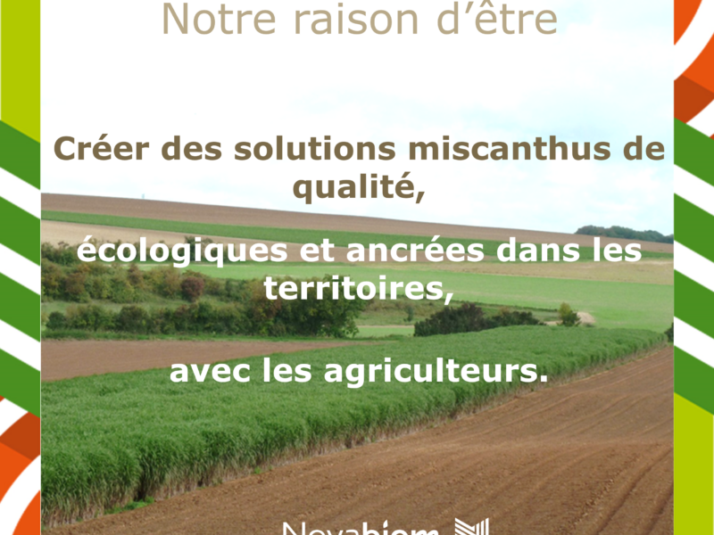 Notre raison d'être Créer des solutions miscanthus de qualité, écologiques et ancrées dans les territoires, avec les agriculteurs.