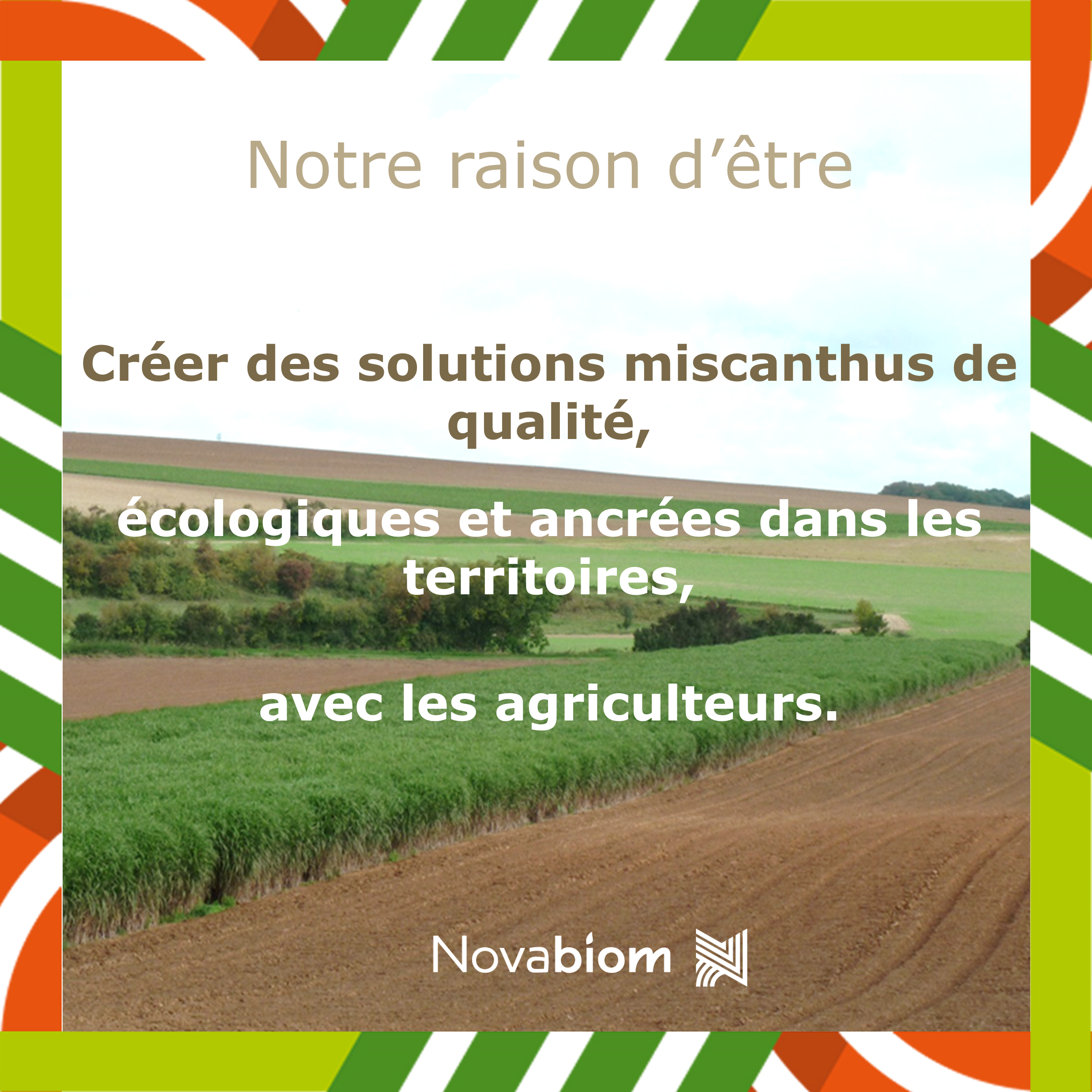 Notre raison d'être Créer des solutions miscanthus de qualité, écologiques et ancrées dans les territoires, avec les agriculteurs.