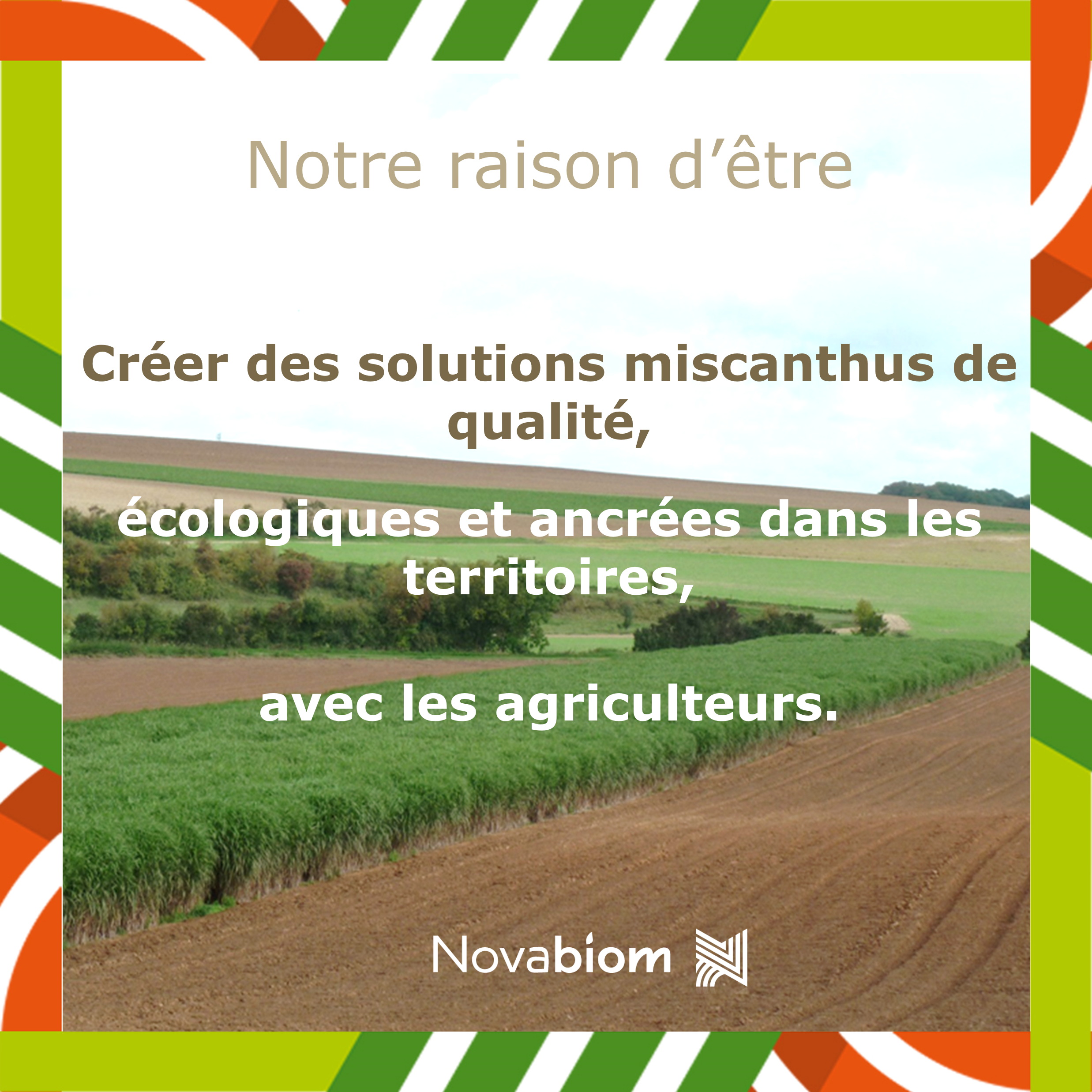 Unsere Daseinsberechtigung Gemeinsam mit den Landwirten qualitativ hochwertige, umweltfreundliche und territorial verankerte Miscanthus-Lösungen schaffen.