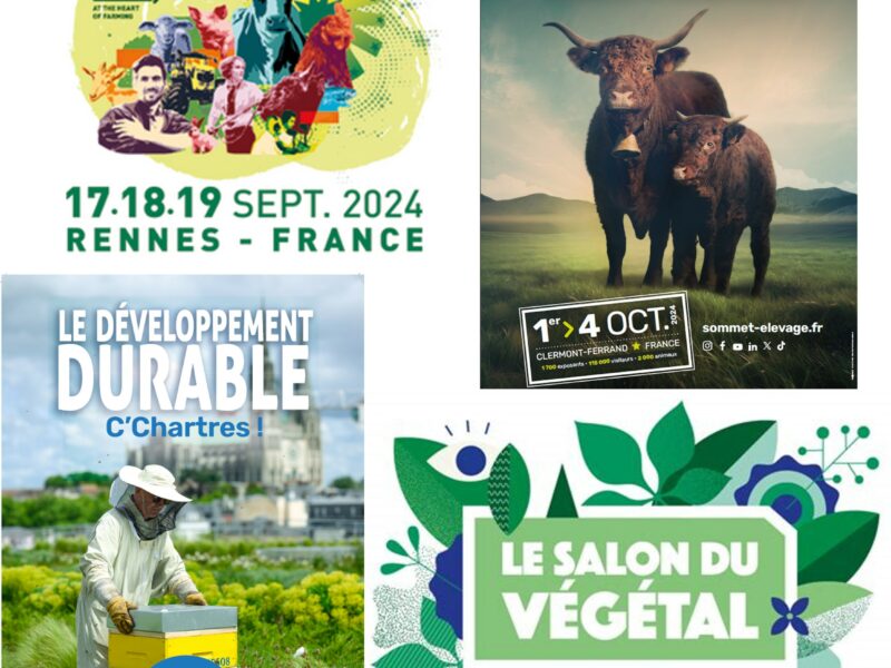 Affiches salons rentrée 2024