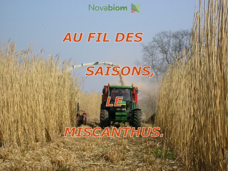 Avril 2024 : récolte du miscanthus
