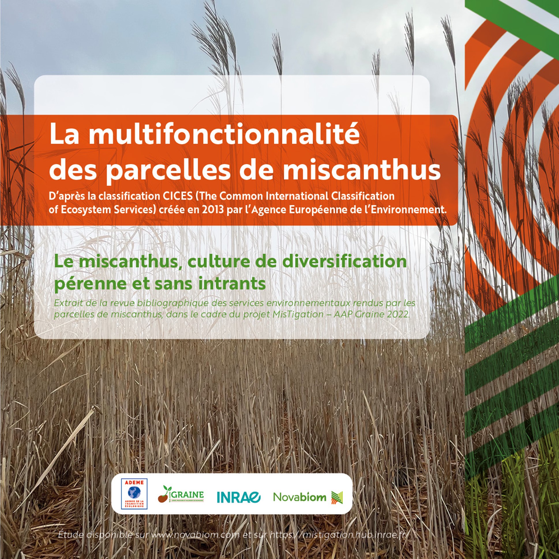 Multifonctionnalité des parcelles de miscanthus