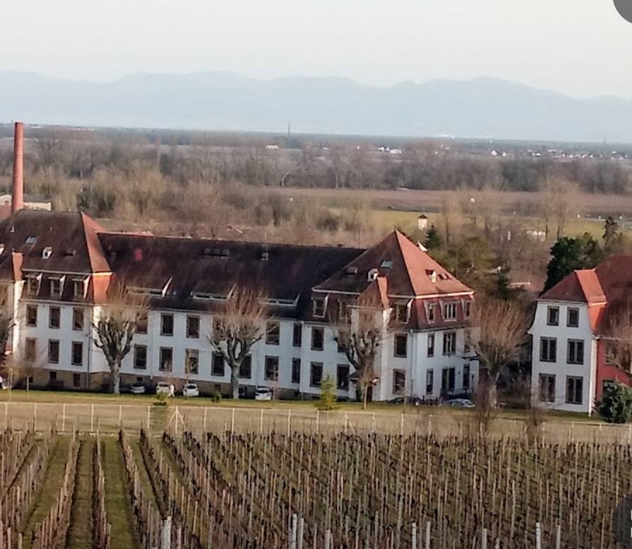 Centre hospitalier de Rouffach
