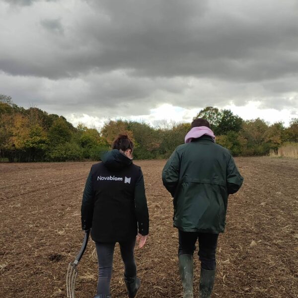 Visites des parcelles de miscanthus pour les plantations en 2026