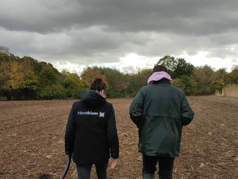 Visites des parcelles de miscanthus pour les plantations en 2026