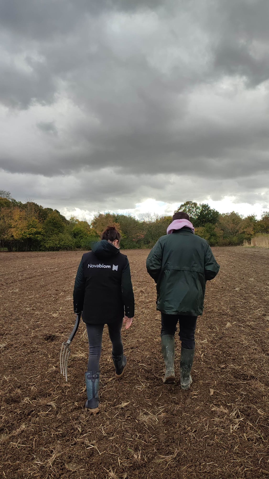Visites des parcelles de miscanthus pour les plantations en 2026