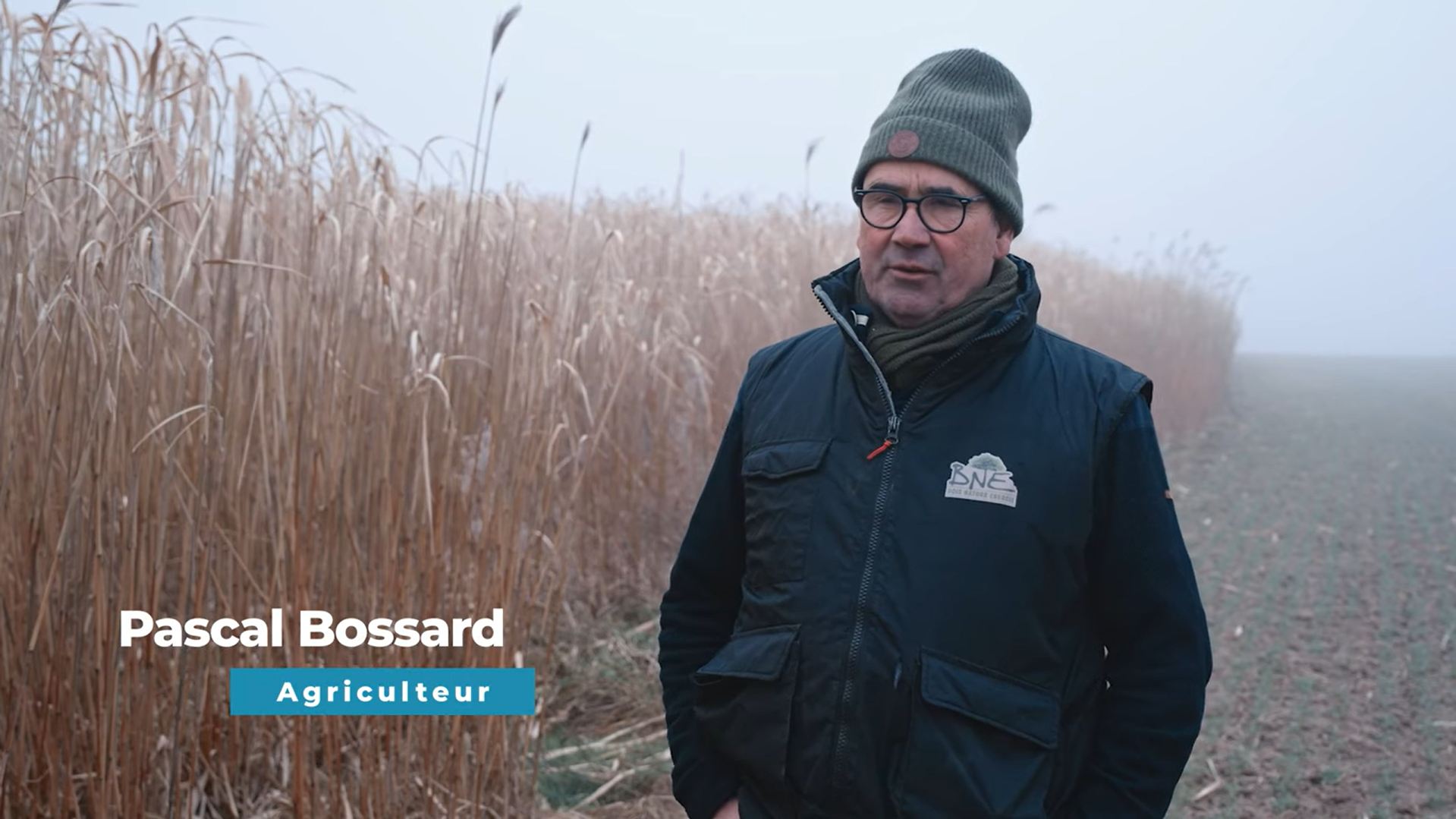 vente en direct du miscanthus