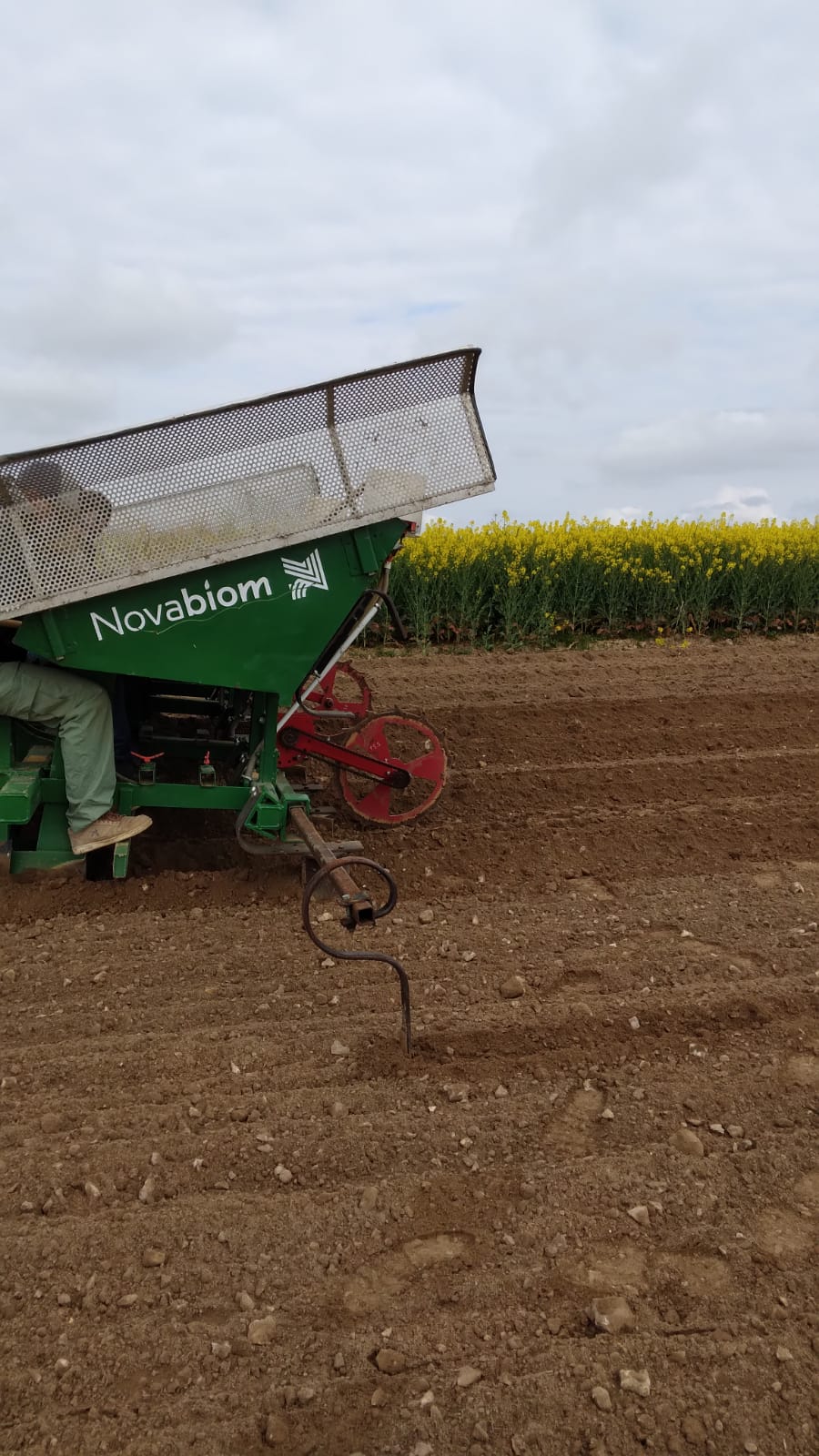 Miscanthus in Wasserqualität, Eure-et-Loir